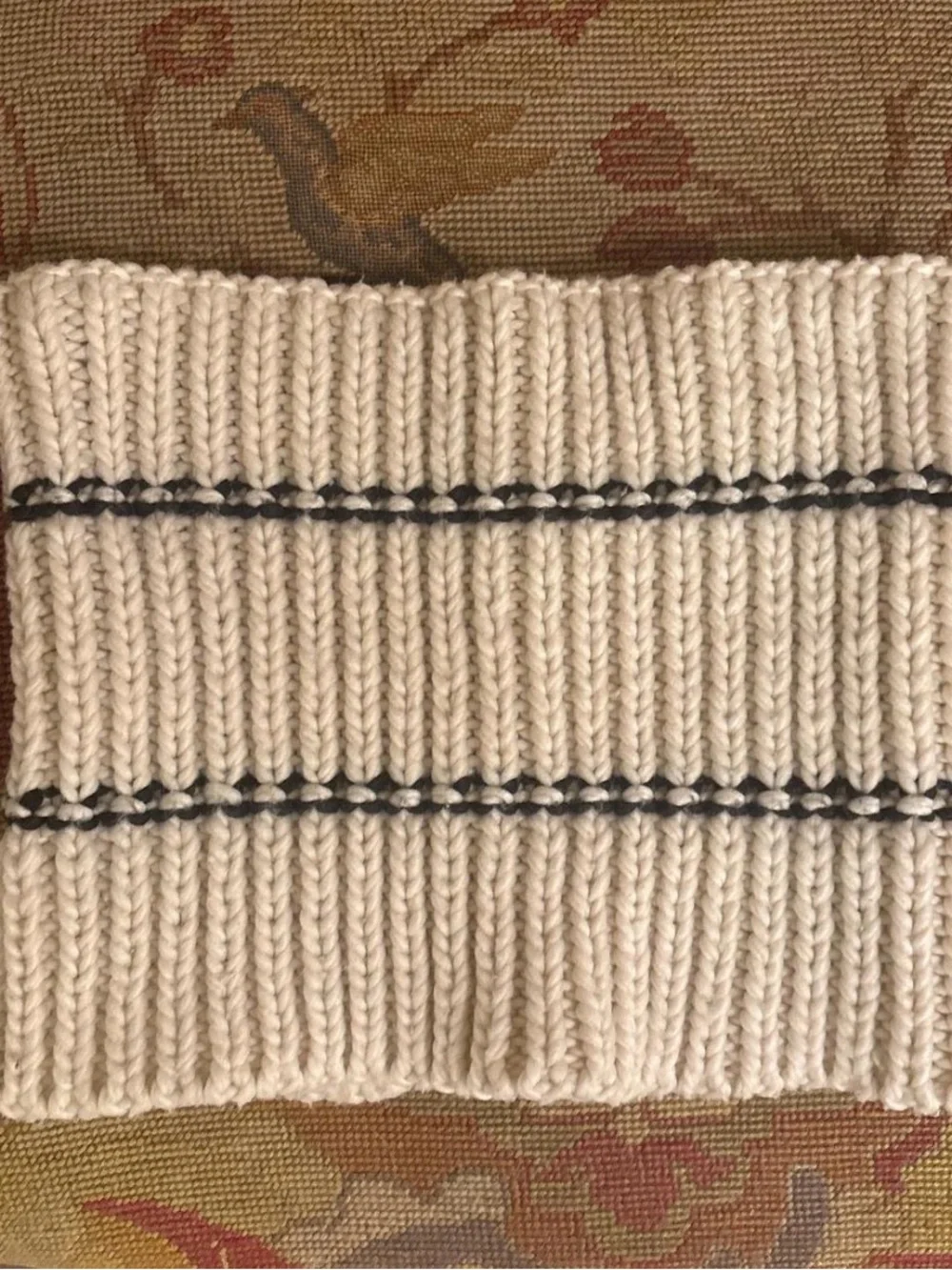 wild fable Cream Knit Ribbed Neck Warmer with Black Trim
